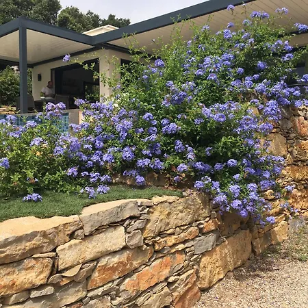 L'hippocampe Bed and Breakfast